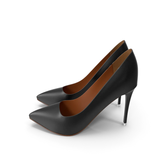 Black & Brown Slipper