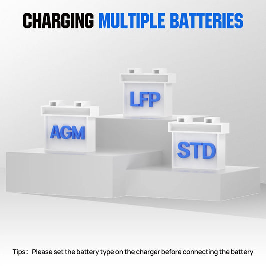 ECO-Worthy 12V/24V 20A Smart Battery Charger Maintainer, Auto Voltage Detect for LiFePO4 Lead-Acid with Multi-Current Options 5A