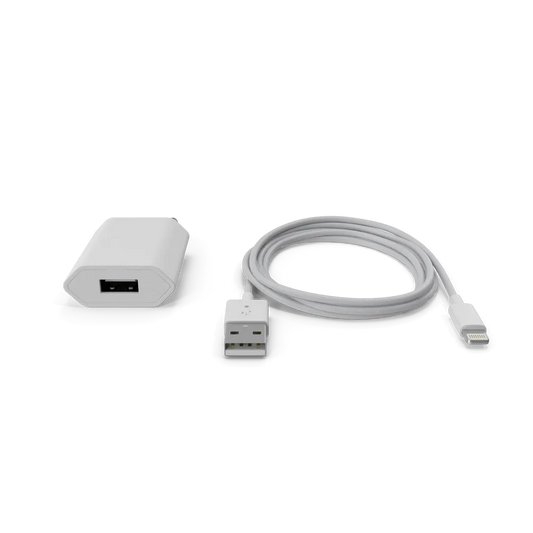 Apple iPhone Charger