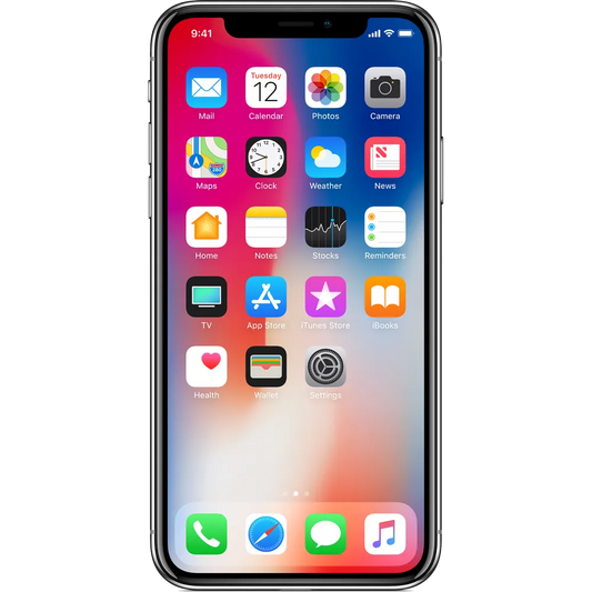 iPhone X