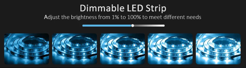 LED Strip Light ,RGB 5050/SMD3535, Flexible Ribbon, DIY Led Light Strip RGB  Tape Diode DC 12V bluetooth Christmas lights