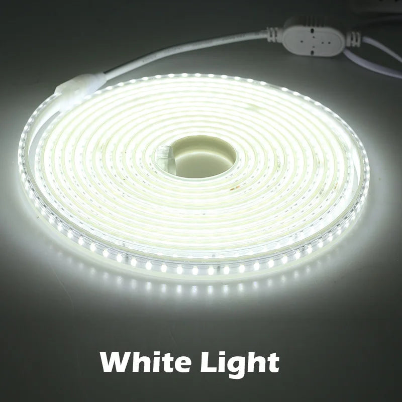 220V LED Strip 120LEDs 8W/m with EU Plug and Switch Not Dazzling Flexible LED Light Waterproof Outdoor Use LED Tape