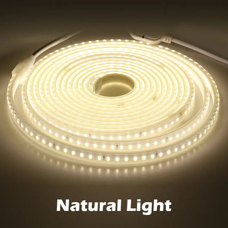 220V LED Strip 120LEDs 8W/m with EU Plug and Switch Not Dazzling Flexible LED Light Waterproof Outdoor Use LED Tape