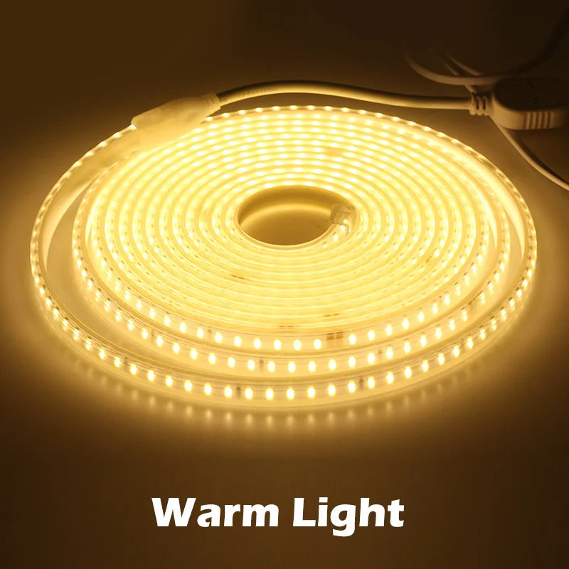 220V LED Strip 120LEDs 8W/m with EU Plug and Switch Not Dazzling Flexible LED Light Waterproof Outdoor Use LED Tape
