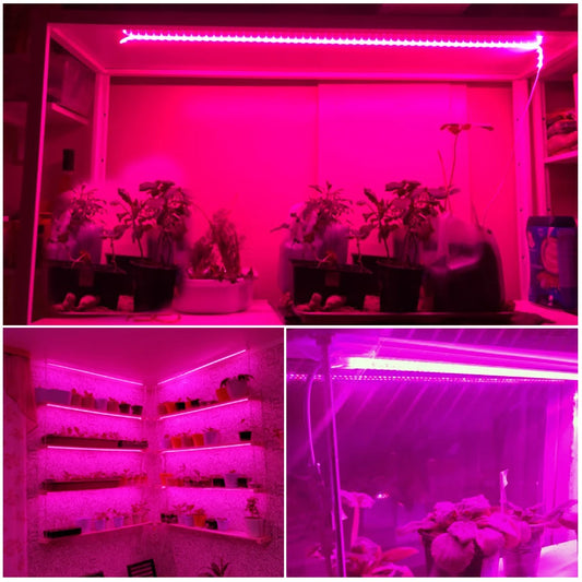 Grow Light Strips Full Spectrum 220V Phyto Lamp Waterproof LED Strips Plant Light for Flower Seedling Grow Tent Hydroponic 1-20m