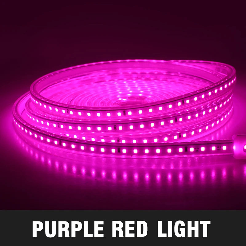 Grow Light Strips Full Spectrum 220V Phyto Lamp Waterproof LED Strips Plant Light for Flower Seedling Grow Tent Hydroponic 1-20m