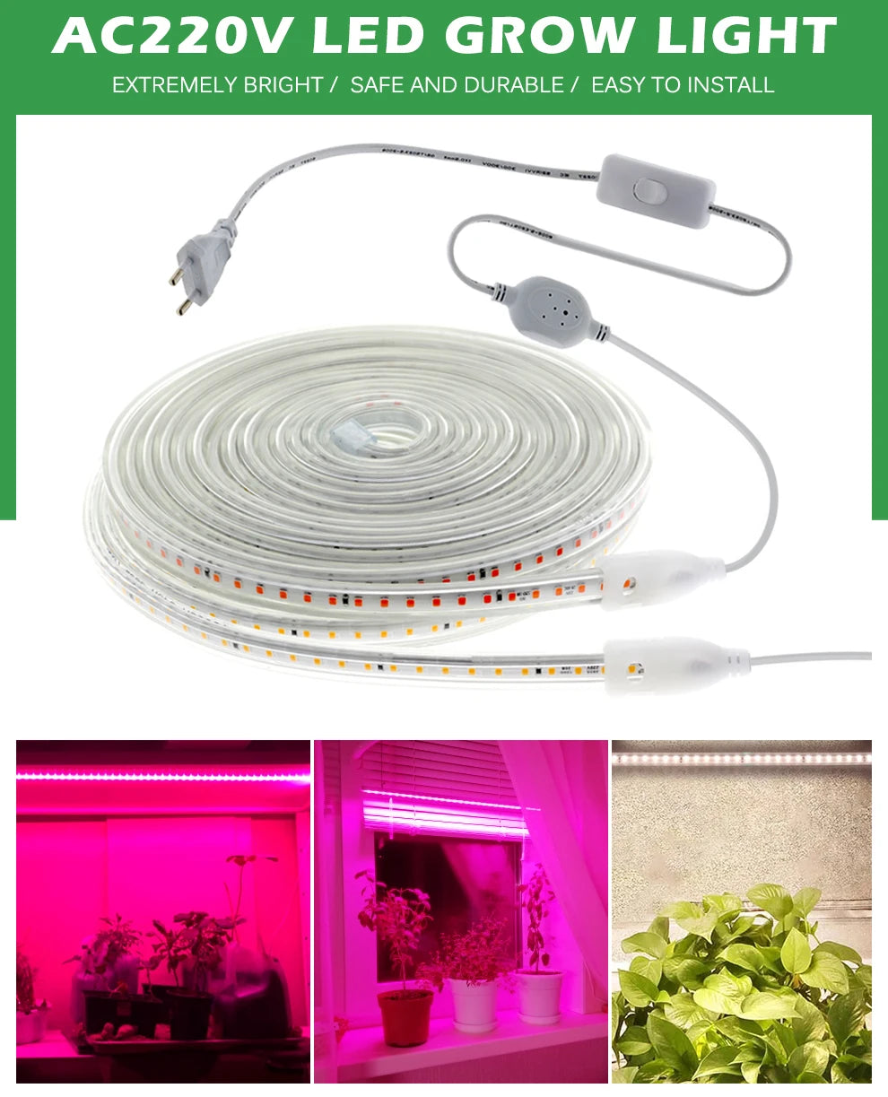 Grow Light Strips Full Spectrum 220V Phyto Lamp Waterproof LED Strips Plant Light for Flower Seedling Grow Tent Hydroponic 1-20m