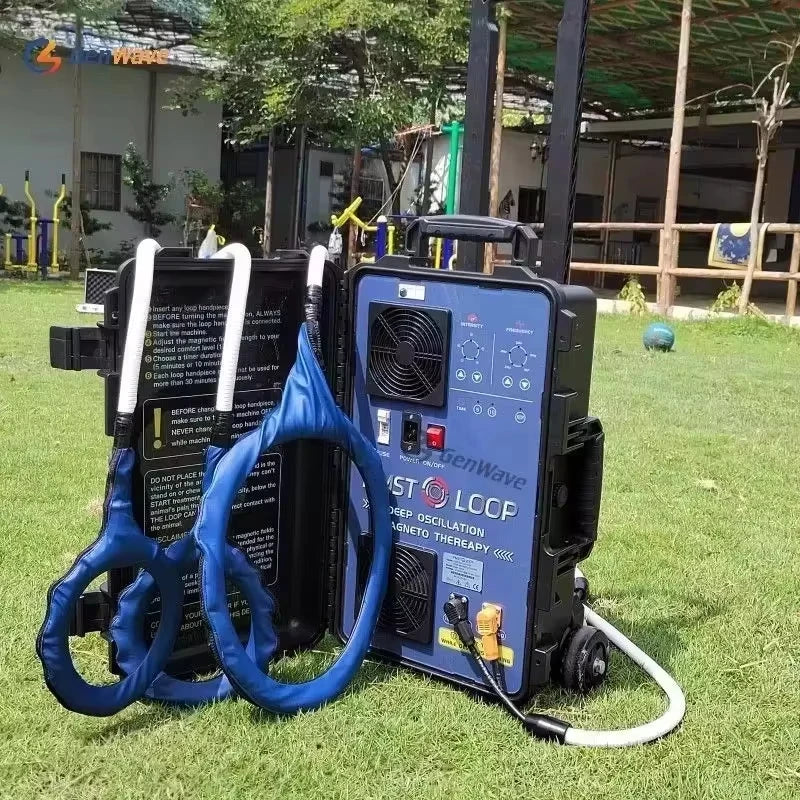 2025 NUEVO Magnawave Pemf Masajeador Magnetische Therapie Hock En Loop Hofmag Machine-87