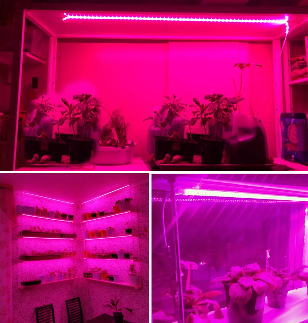 Grow Light Strips Full Spectrum 220V Phyto Lamp Waterproof LED Strips Plant Light for Flower Seedling Grow Tent Hydroponic 1-20m