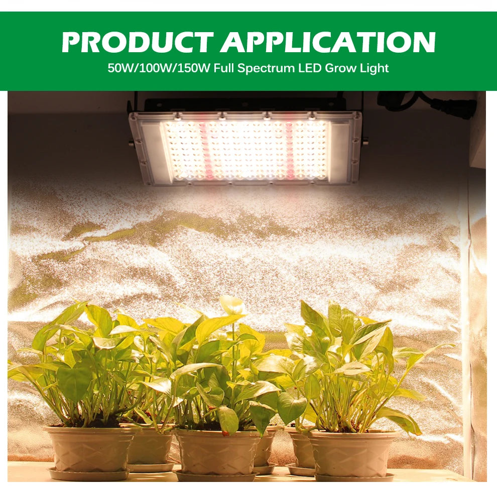 50W 100W 150W LED Grow Light With Stand Full Spectrum Sunlike LED Phyto Lamp For Indoor Greenhouse Plant Growth Lighting
