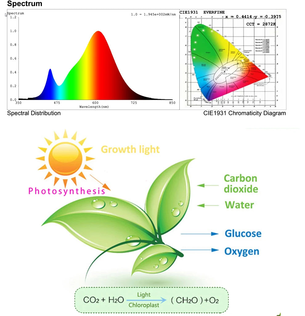 50W 100W 150W LED Grow Light With Stand Full Spectrum Sunlike LED Phyto Lamp For Indoor Greenhouse Plant Growth Lighting