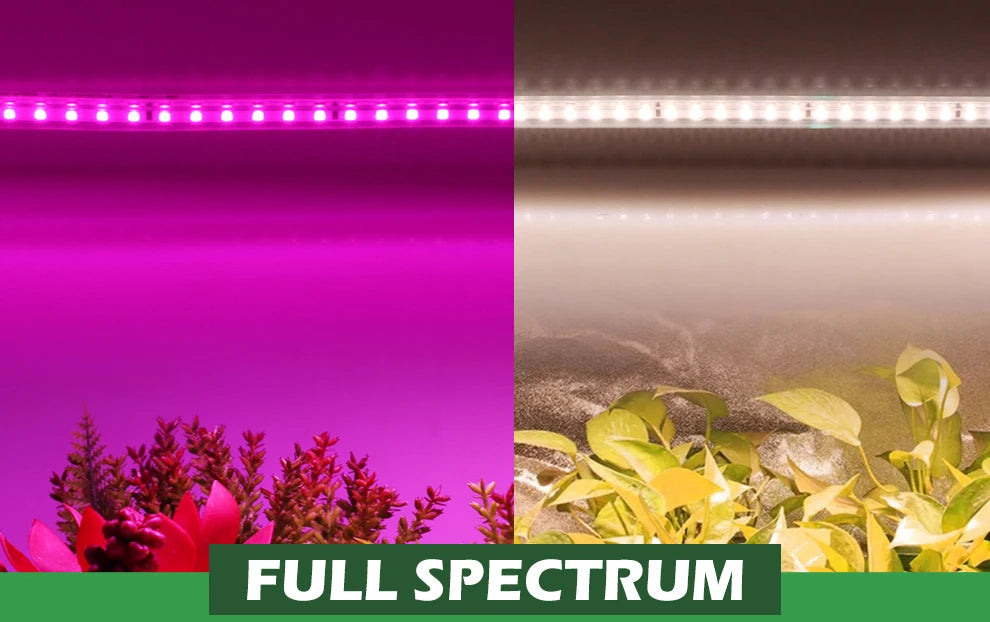 Grow Light Strips Full Spectrum 220V Phyto Lamp Waterproof LED Strips Plant Light for Flower Seedling Grow Tent Hydroponic 1-20m