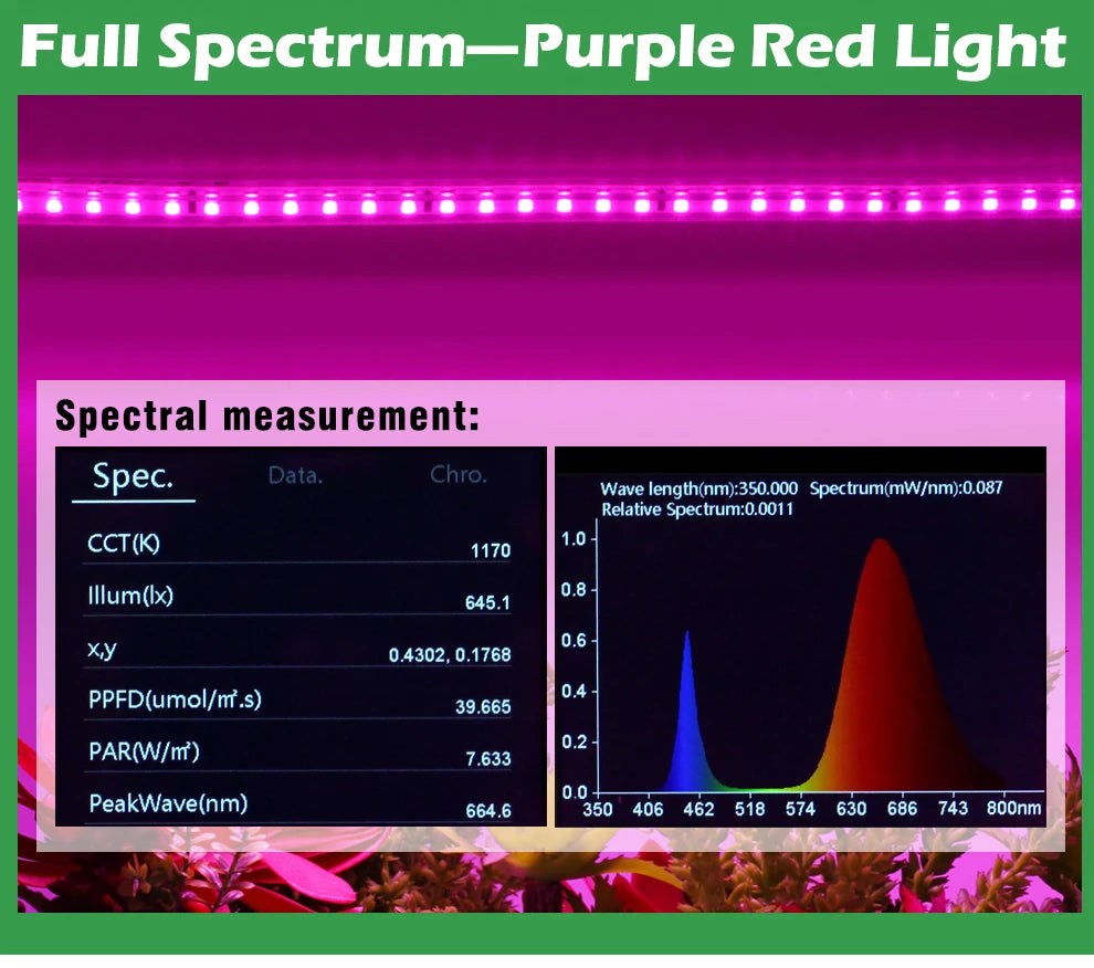 Grow Light Strips Full Spectrum 220V Phyto Lamp Waterproof LED Strips Plant Light for Flower Seedling Grow Tent Hydroponic 1-20m