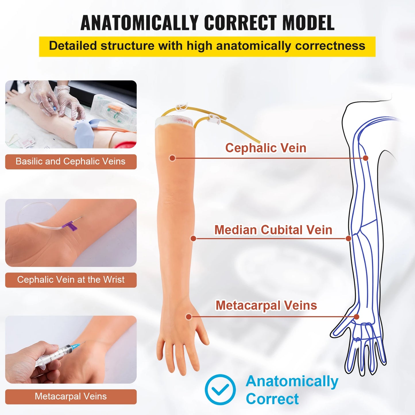 SucceBuy Phlebotomy Practice Kit IV Venipuncture Intravenous Training Simulation Arm Kit for Students Nurses and Professionals