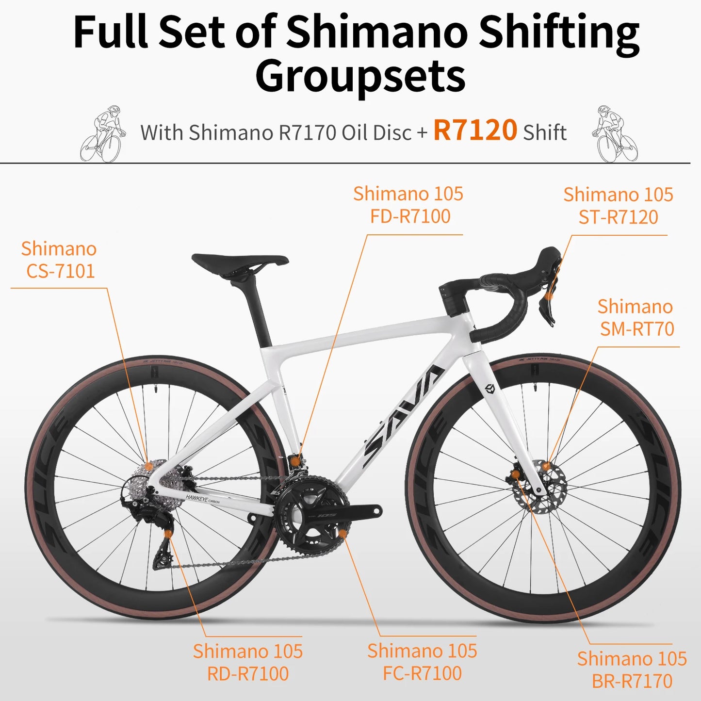 SAVA F20 Carbon Fiber Road Bike, Equipped with 105 R7120 24-Speed Groupset and Hydraulic Disc Brakes Adult Race Bike