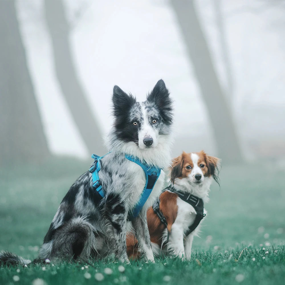 Truelove Pet Harness Reflective Nylon Large Pet Dog Harness All Weather Padded Adjustable Safety Vehicular Leads for Dog TLH5651