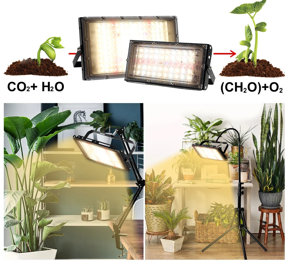 50W 100W 150W LED Grow Light With Stand Full Spectrum Sunlike LED Phyto Lamp For Indoor Greenhouse Plant Growth Lighting