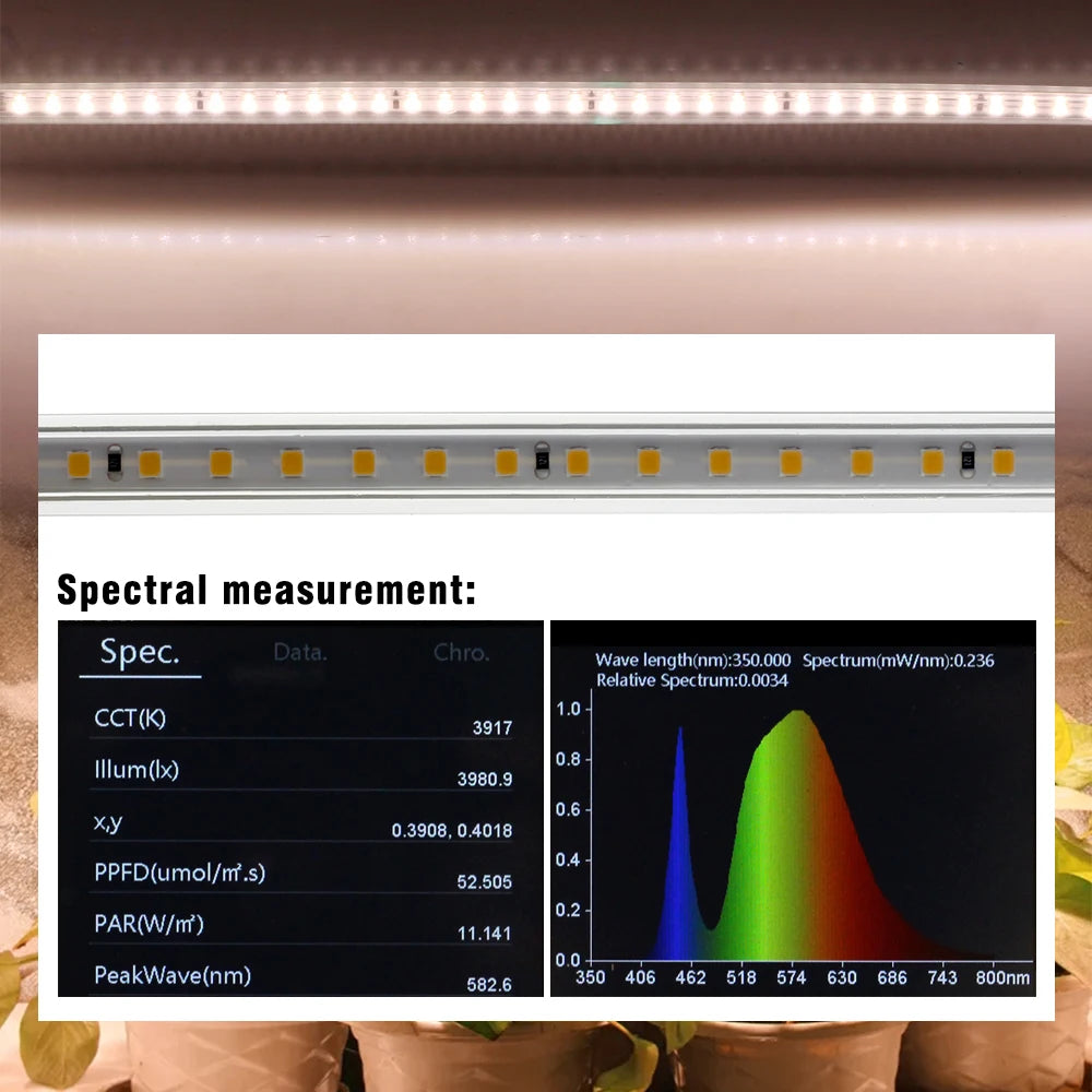 Grow Light Strips Full Spectrum 220V Phyto Lamp Waterproof LED Strips Plant Light for Flower Seedling Grow Tent Hydroponic 1-20m