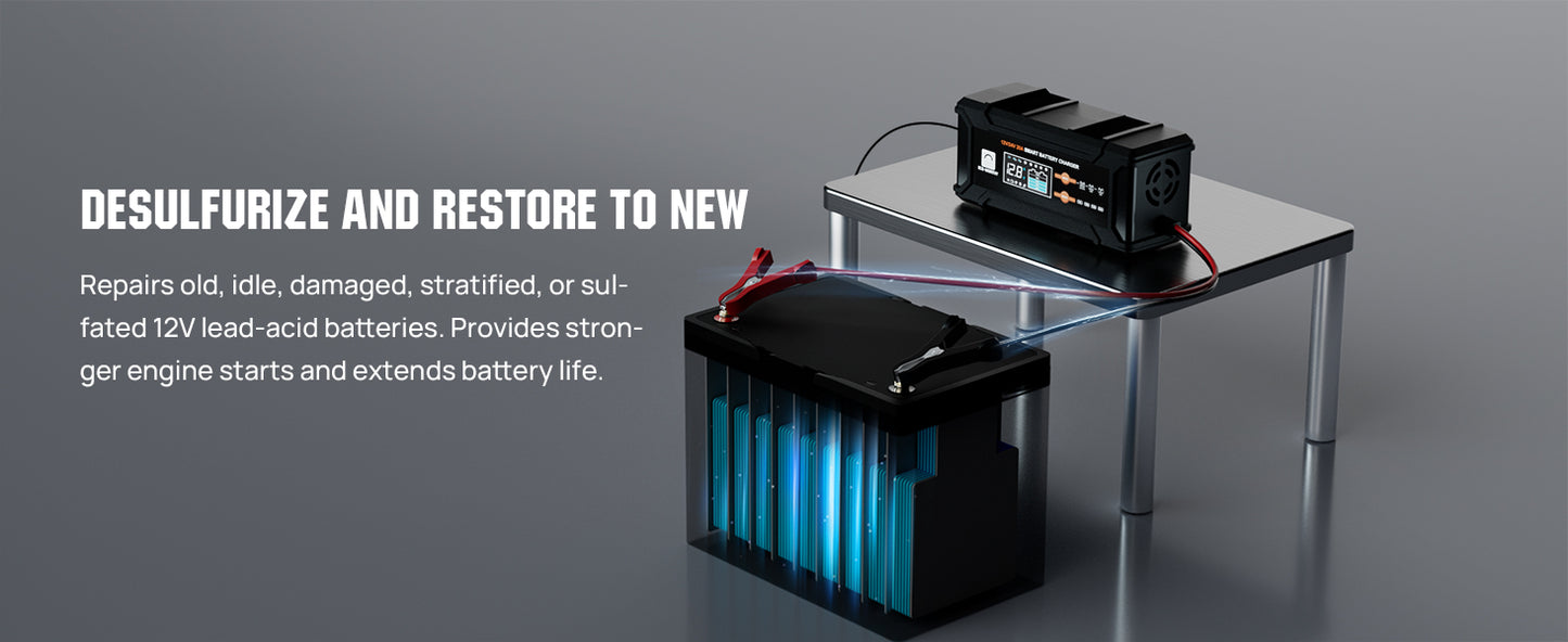 ECO-Worthy 12V/24V 20A Smart Battery Charger Maintainer, Auto Voltage Detect for LiFePO4 Lead-Acid with Multi-Current Options 5A